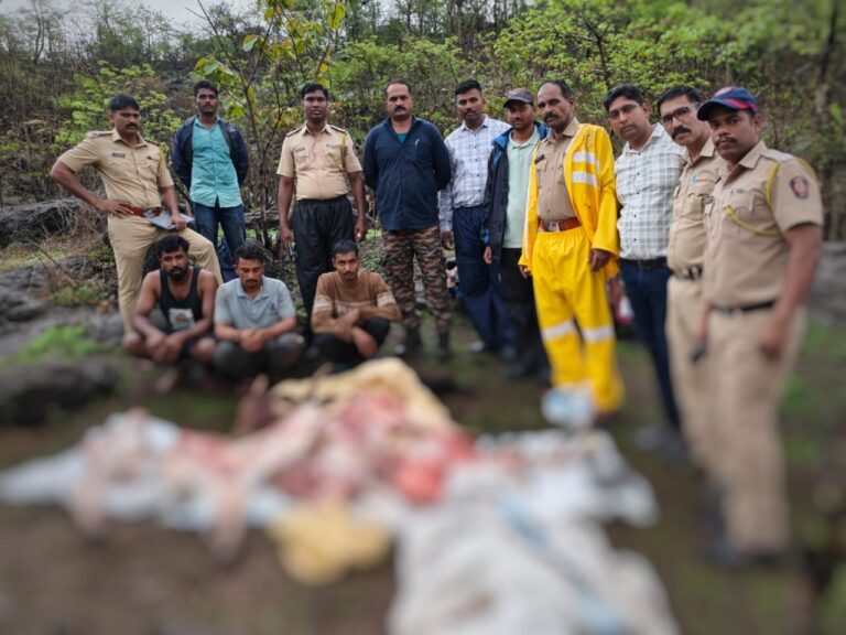 *नागोठणे पोलिसांची धडाकेबाज कारवाई! वासगावच्या जंगलातील बेकायदेशीर गोवंश कत्तल करणाऱ्यांचा पर्दाफाश, 30 हजारांचा मुद्देमाल जप्त*