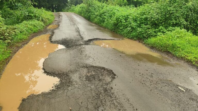 देवकान्हे-पालदाड मार्गावर जीवघेणे खड्डे; स्थानिक आमदार-खासदार गेले कुठे? संतप्त नागरिकांचा सवाल .